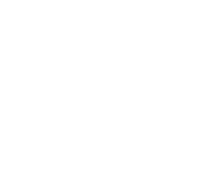 logo reixe_Tavola disegno 2